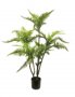 Kunstbloem Celioni fern tree