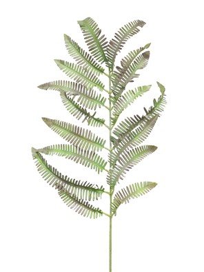 Kunsttak Mandivo, 110 cm