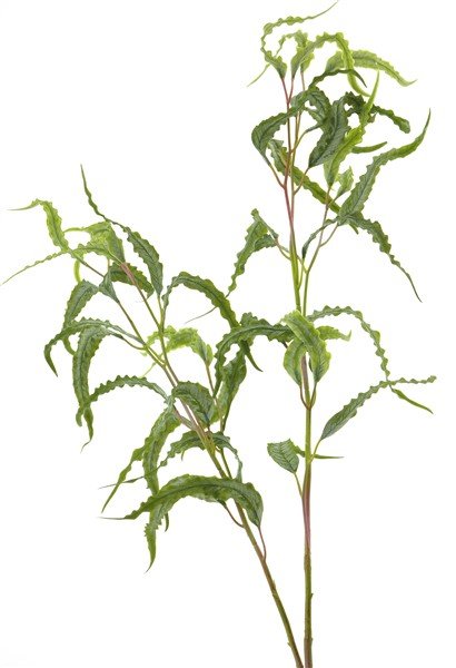 Kunsttak Reggiolo groen, 110 cm