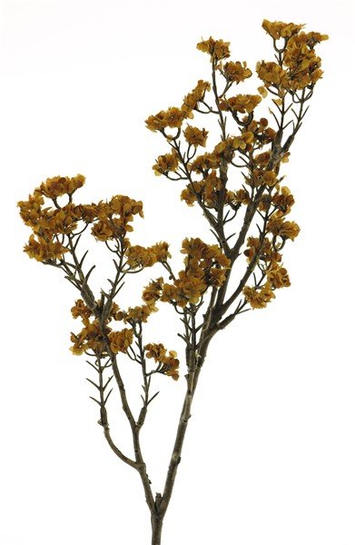 Kunsttak Reggiolo oranje, 48 cm