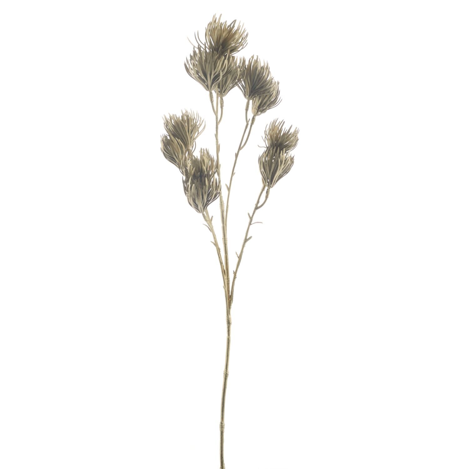 Kunsttak Varenzo goud 66 cm