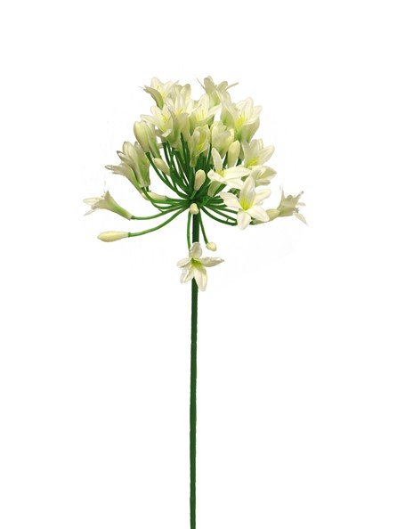 Kunstbloem Agapathus cream, 75 cm