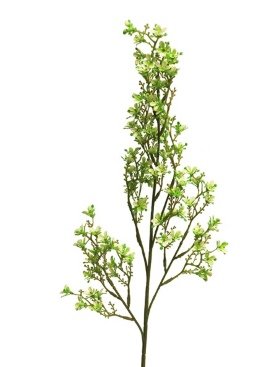 Kunsttak Bouvardia groen, 79 cm