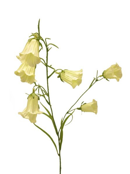 Kunstbloem Campanula 79 green