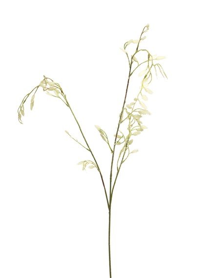 Kunsttak Platani cream, 89 cm