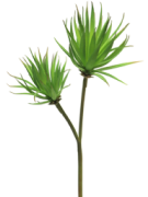 Kunstbloem Celioni groen, 64 cm