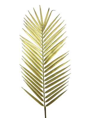 Kunsttak Mandivo goud, 109 cm
