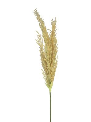 Kunsttak Mandivo peach, 124 cm