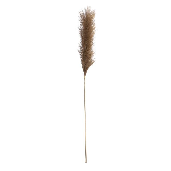 Pluimgras Nebbia goud, 104 cm