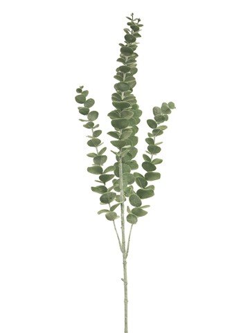 Kunstbloem Mandivo eucalyptus, 90 cm