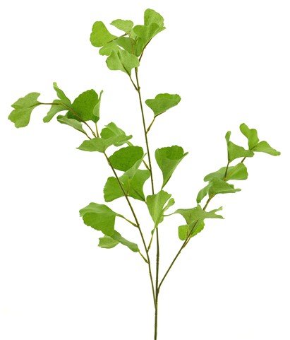 Kunsttak Mandivo groen, 90 cm