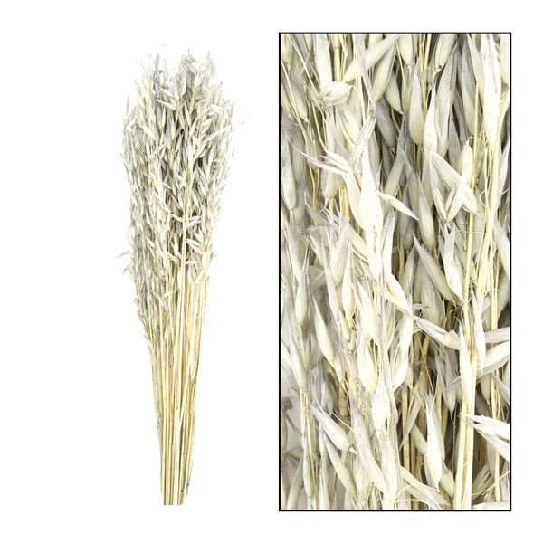 Droogbloemen 60 bouquet avena