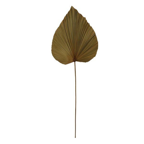 Blad Alanno naturel, 89 cm
