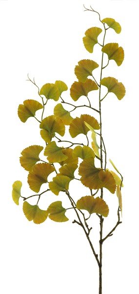 Kunsttak Reggiolo geel, 84 cm