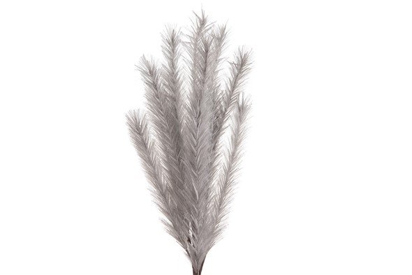 Pluim Mapelli grijs, 133 cm