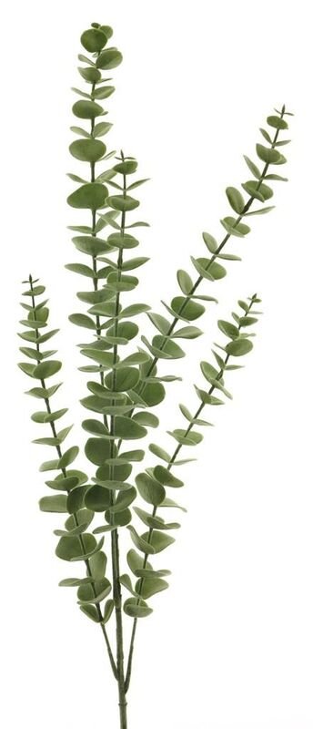 Kunstbloem Mandivo eucalyptus, 90 cm