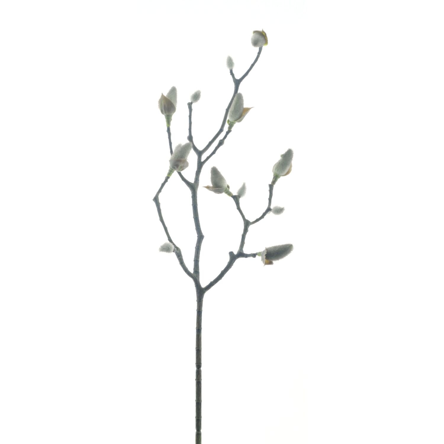 Kunsttak Varenzo zwart 59 cm