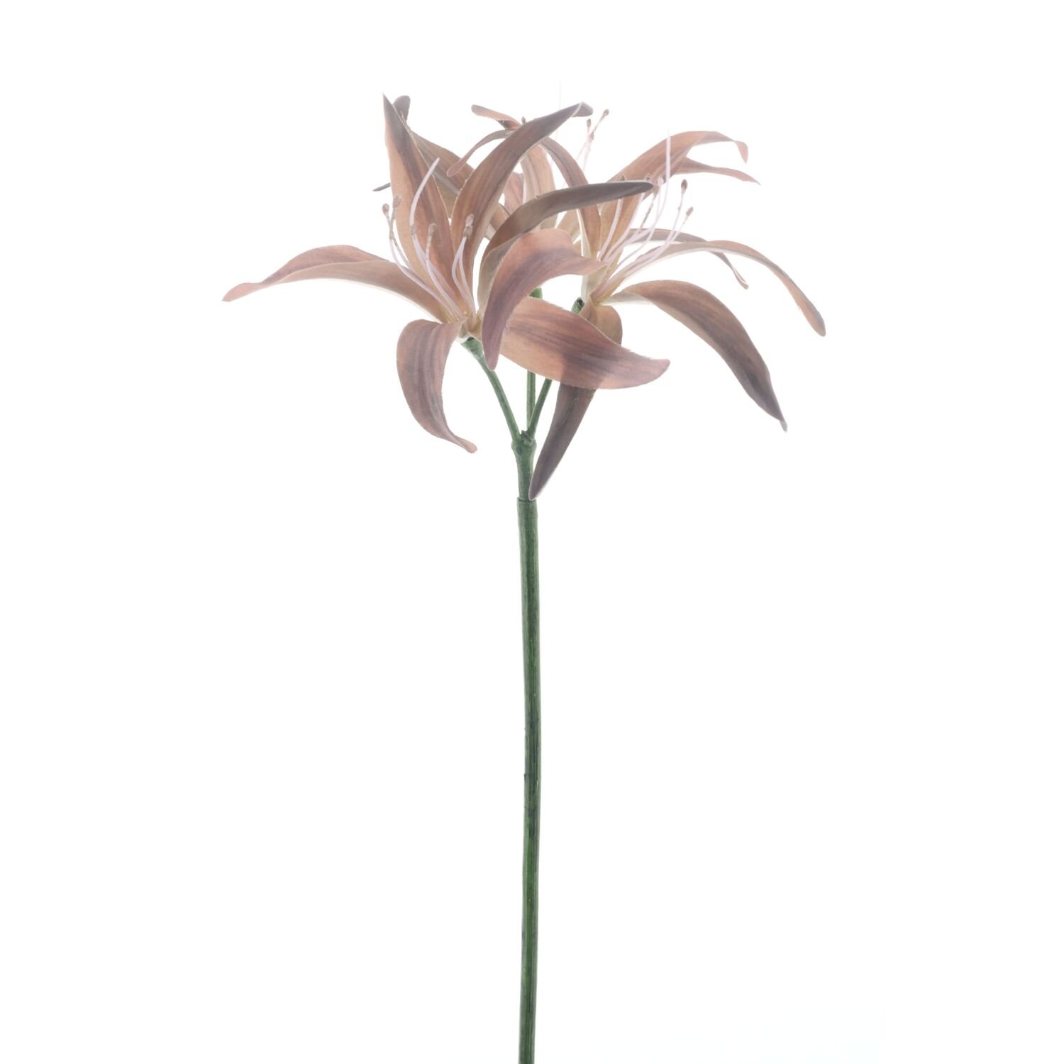 Kunstbloem Varenzo bruin 79 cm