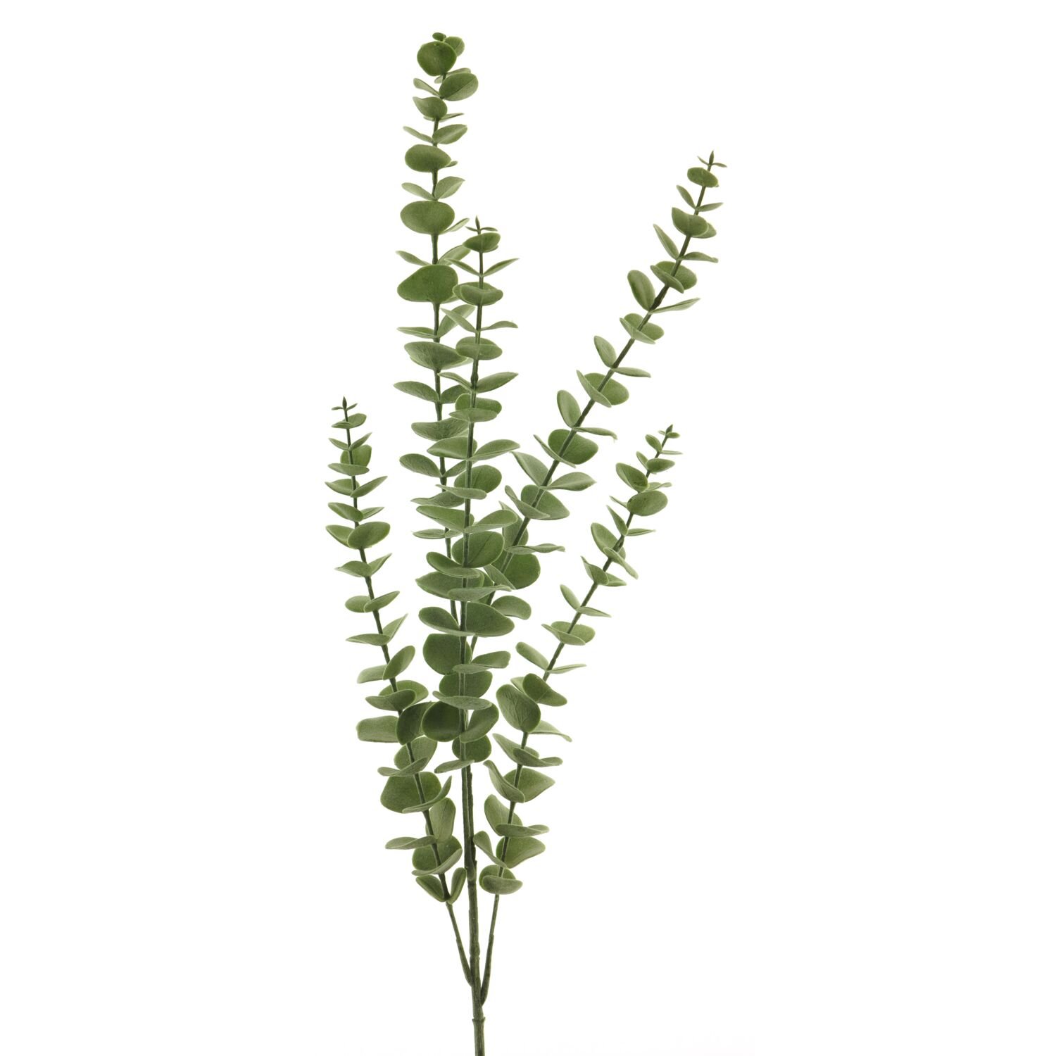 Kunstbloem Mandivo eucalyptus, 90 cm