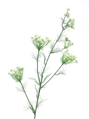 Kunstbloem Dancus 120 white