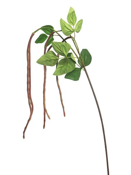 Kunstbloem Plantani rood, 135 cm