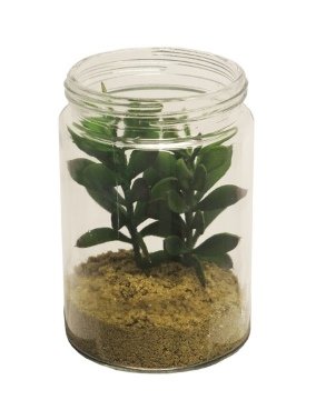Kunstbloem Succulent 17 deco 4