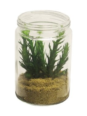 Kunstbloem Succulent 17 deco 1