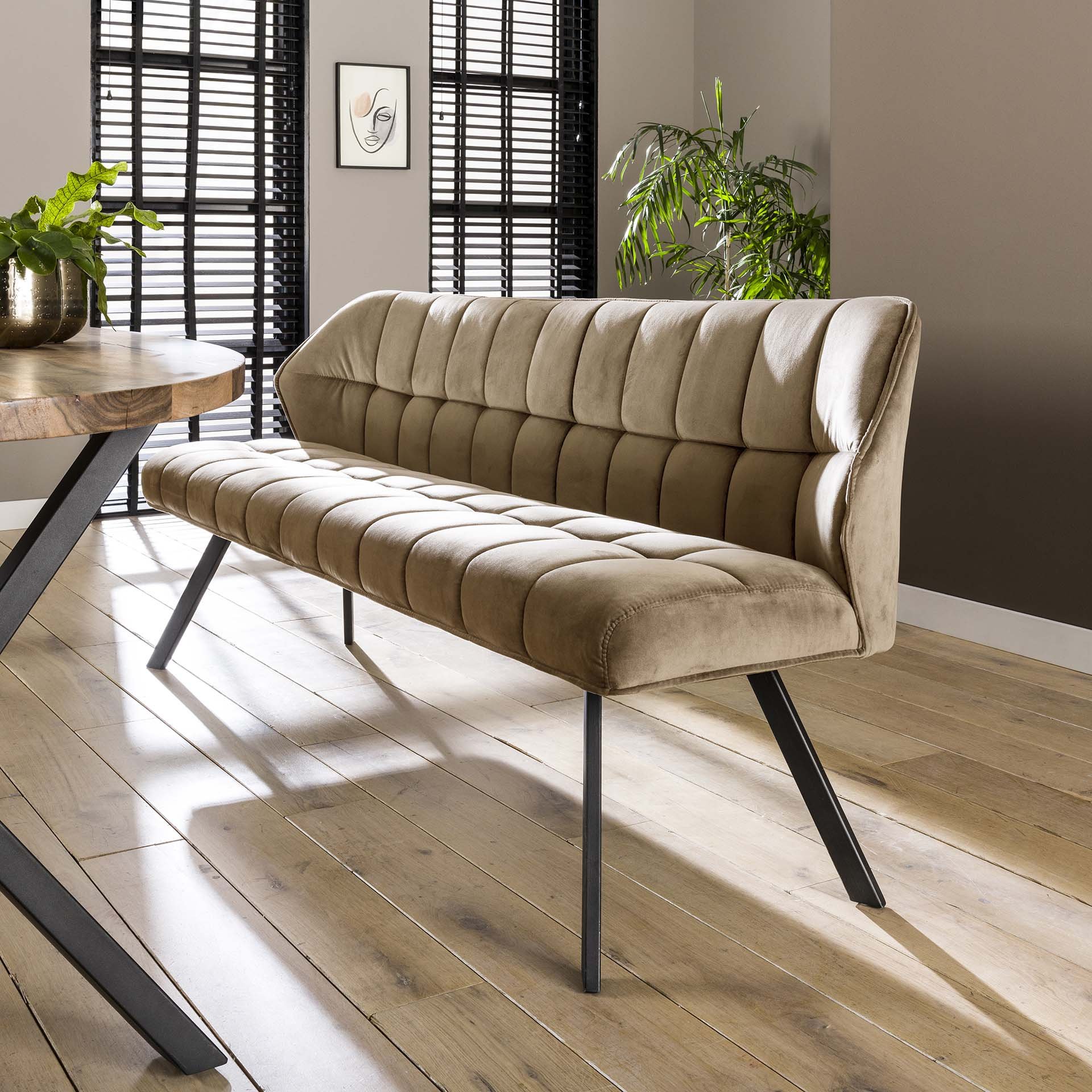 Eetkamerbank raster / Champagne velours