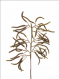 Kunstbloem Celioni 61 coryllus pink