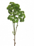 Kunstbloem Celioni groen, 76 cm