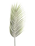 Kunsttak Mandivo groen, 84 cm