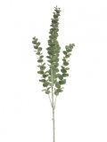 Kunstbloem Mandivo eucalyptus, 90 cm