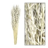 Droogbloemen 60 bouquet avena
