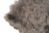 Karpet Pittore grey, 240x170 cm