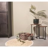 Mand Cestelli grey