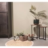 Mand Cestelli grey