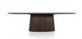 Eettafel Arion 300 x 110 mangohout