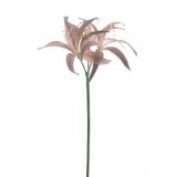 Kunstbloem Varenzo bruin 79 cm