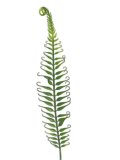 Kunstbloem Dragon groen, 98 cm