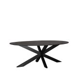 Eetkamertafel Zion zwart mangohout, 240x110 cm