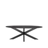 Eetkamertafel Zion zwart mangohout, 240x110 cm