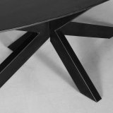 Eetkamertafel Zion zwart mangohout, 240x110 cm