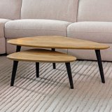 Salontafel set Rock rough mangohout, 110x64 cm