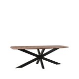Eettafel Zane deens ovaal mangohout 220x100 cm