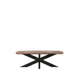Salontafel Zane deens ovaal mangohout 