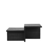 Salontafel Skip mangohout zwart