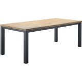 Eettafel Atrio 220 x 100 oriënt decor