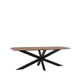Eettafel Zane deens ovaal mangohout 220x100 cm