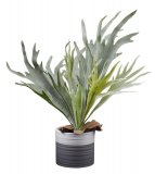 Kunstplant Platycerium groen, 51 cm