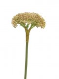 Kunstbloem Allium roze, 68 cm